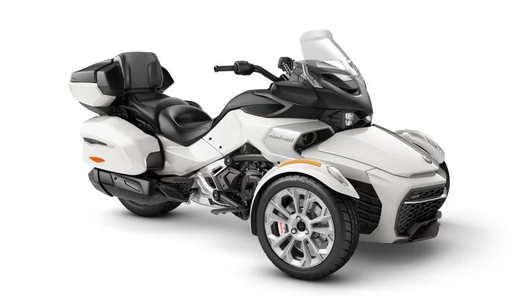 Spyder in een witte studio