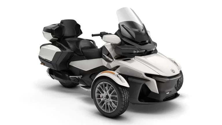 Spyder in een witte studio