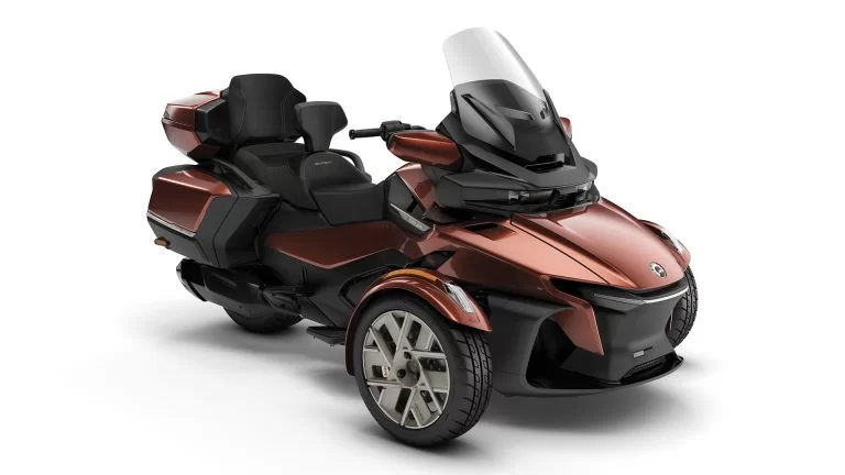 Spyder in een witte studio