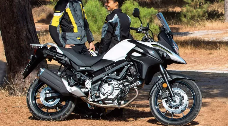 Lifestylefoto 2023 Suzuki V-Strom 650A met motorrijder en buddy die rusten in een open stuk bos waar de zon schijnt